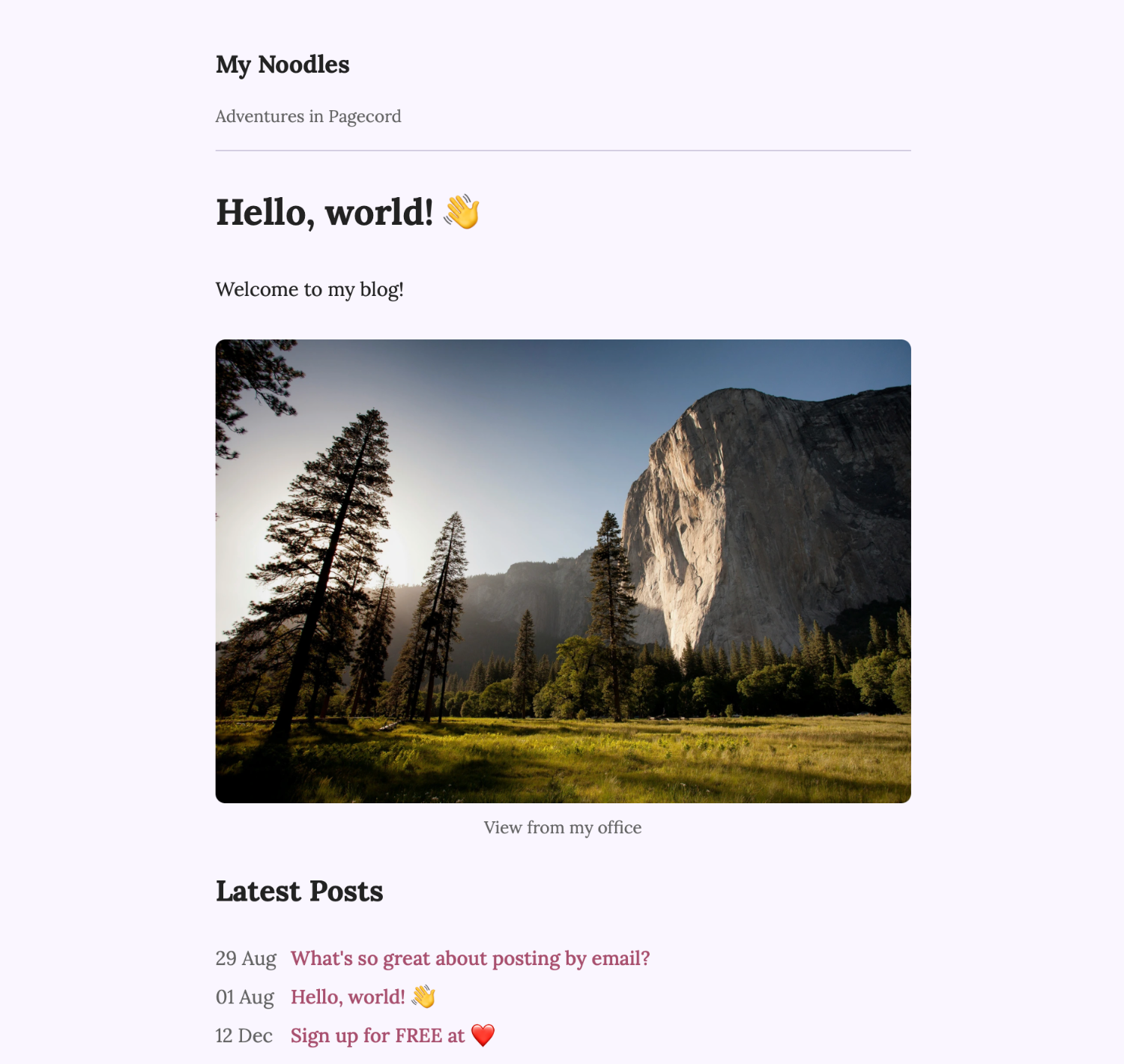 Pagecord screenshot 1